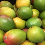 wad-mangues