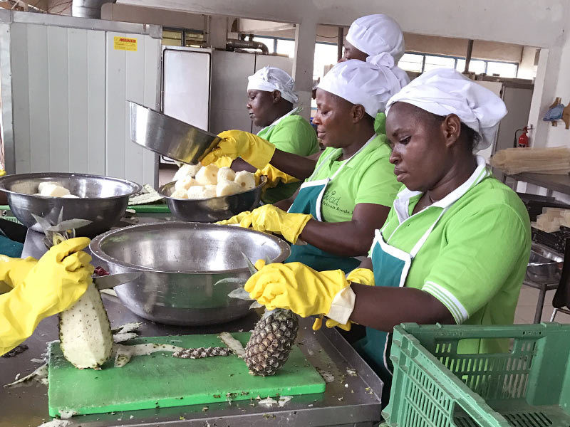 WAD - Préparation des ananas pour séchage
