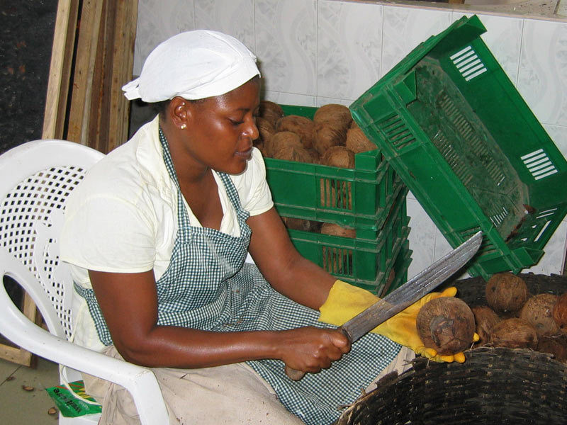 WAD - Préparation des noix de coco pour séchage